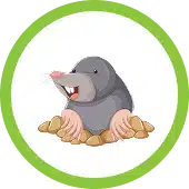 Homepage vole & mole