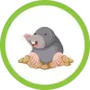 Home vole & mole